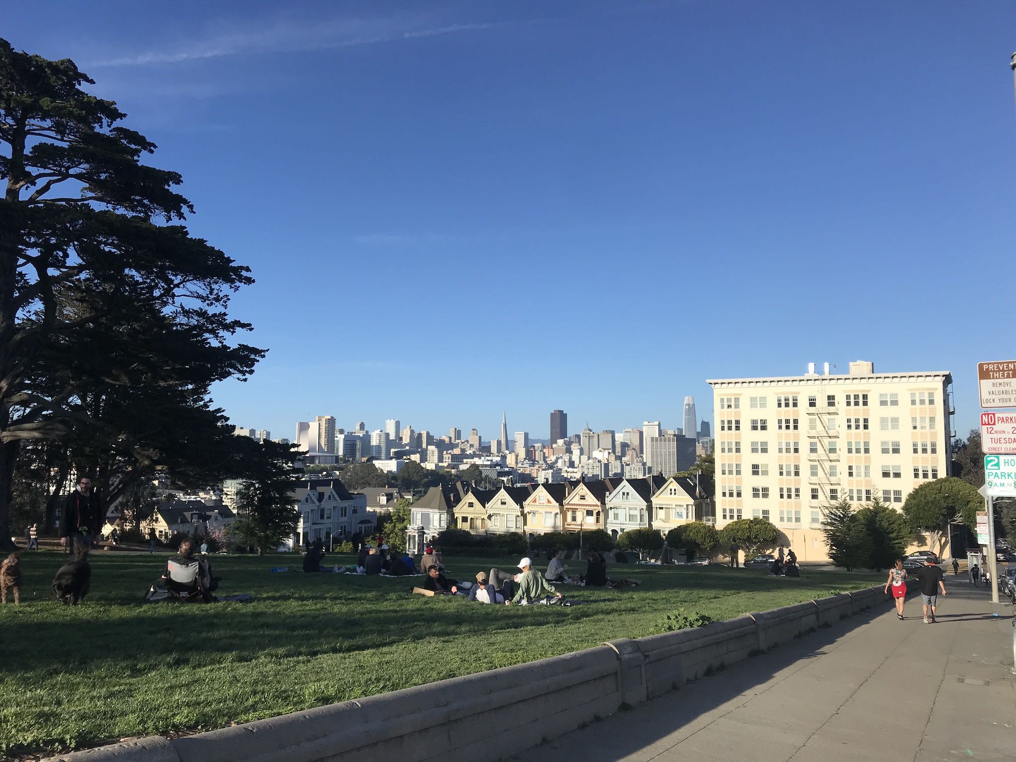 Alamo Square Painted Ladies